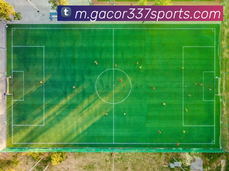 球赛投注品牌故事